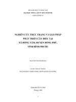 NGHIÊN CỨU THỰC TRẠNG VÀ GIẢI PHÁP PHÁT TRIỂN CÂY ĐIỀU TẠI XÃ ĐỒNG TÂM, HUYỆN ĐỒNG PHÚ, TỈNH BÌNH PHƯỚC  Xem nội dung đầy đủ tại: https://123doc.org/document/5070673-nguyen-thanh-mang.htm