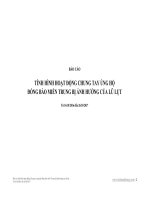 BÁO CÁO TÌNH HÌNH HOẠT ĐỘNG CHUNG TAY ỦNG HỘ ĐỒNG BÀO MIỀN TRUNG BỊ ẢNH HƯỞNG CỦA LŨ LỤT