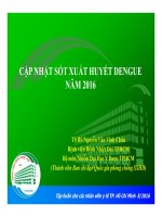 CẬP NHẬT SỐT XUẤT HUYẾT DENGUE - TS BS Nguyễn Văn Vĩnh Châu