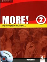 Cambridge   more 2 workbook  