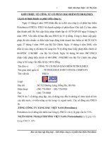 Báo cáo thực tập tổng hợp: hoàn thiện kế toán doanh thu và xác định kết quả dịch vụ viễn thông tại Trung Tâm Viễn Thông Di Động Điện Lực