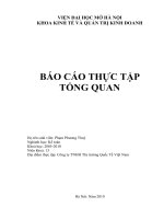 BÁO CÁO THỰC TẬP: TIÊU THỤ SẢN PHẨM VÀ THỰC TRẠNG TIÊU THỤ SẢN PHẨM CỦA CÔNG TY TNHH THƯƠNG MẠI VÀ THỜI TRANG VIỆT NAM.