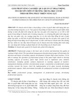 Giải pháp nâng cao hiệu quả quản lý hoạt động tổ chuyên môn ở trường trung học cơ sở theo hướng phát triển năng lực