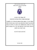 Nghiên cứu tính ổn định công hiệu và xác định mối tương quan giữa hai phương pháp tạo đám hoại tử (PFU) và liều gây nhiễm 50% nuôi cấy tế bào (CCID50) của vắc xin sởi dự tuyển mẫu chuẩn quốc gia việt nam  
