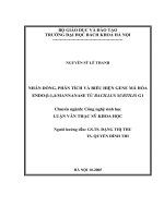 Nhân dòng, phân tích và biểu hiện gene mã hoá endo (bê ta) 1,4 mannanase từ bacillus subtilis g1 