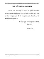 Một số giải pháp nhằm hạn chế rủi ro tín dụng tại Ngân hàng TMCP Công thương Thanh Xuân – Hà Nội