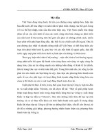 Một số giải pháp hoàn thiện hoạt động thanh toán trong nhập khẩu hàng hóa tại Công ty xuất nhập khẩu và hợp tác đầu tư Vilexim