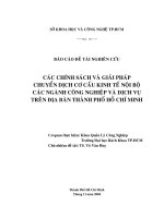 các chính sách và giải pháp chuyển dịch cơ cấu kinh tế nội bộ các ngành công nghiệp và dịch vụ trên địa bàn thành phố hồ chí minh 