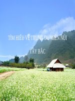 TÌM HIỂU VỀ TRUNG DU MIỀN NÚI TÂY BẮC