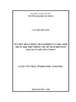 Tổ chức hoạt động trải nghiệm của học sinh Trung học Phổ thông chủ đề tích hợp STEM sản xuất chè Tân Cương (Luận văn thạc sĩ)