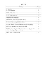 skkn vận dụng lý thuyết giải các dạng bài tập điện phân dung dịch 