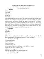 Khung giáo án hoạt động trải nghiệm