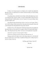 Báo cáo Kỹ thuật an toàn và môi trường