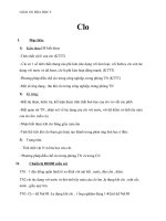 Giáo án Hóa học 9 bài 26: Clo