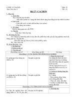 Giáo án Hóa học 9 bài 27: Cacbon