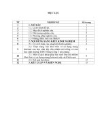 skkn vai trò của giáo viên chủ nhiệm trong việc định hướng cho học sinh khai thác và sử dụng mạng internet một cách có hiệu quả ở trường THPT nông cống 3 