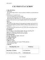 Giáo án Hóa học 9 bài 28: Các oxit của cacbon