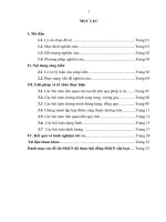 skkn sử dụng phép vị tự để giải một số dạng bài toán hình học phẳng 