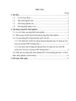 skkn lựa chọn một số dạng bài tập kiểu xâu kí tự để bồi dưỡng cho học sinh đội tuyển môn tin học ở trường THPT hoằng hóa 3 