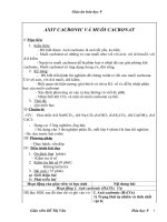 Giáo án Hóa học 9 bài 29: Axit cacbonic và muối cacbonat