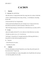 Giáo án Hóa học 9 bài 27: Cacbon