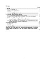 skkn GIẢI bài TOÁN cực TRỊ số PHỨC BẰNG PHƯƠNG PHÁP HÌNH học GIẢI TÍCH 