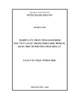 Nghiên cứu phân tích giám định dấu vết cao su trong khoa học hình sự bằng một số phương pháp hóa lý (LV thạc sĩ)