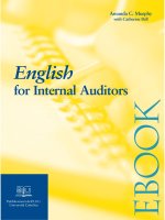 English for Internal Auditor