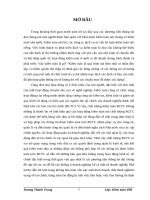 Mối quan hệ giữa chức năng kiểm toán với trách nhiệm của kiểm toán viên với chất lượng kiểm toán báo cáo tài chính