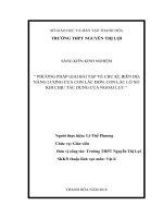 skkn phương pháp giải bài tập về chu kì, biên độ, năng lượng của con lắc đơn, con lắc lò xo khi chịu tác dụng của ngoại lực