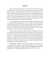 1.TIEU LUAN THU NGAN S-CH NH+ N¦+C CHO -ON.DOC