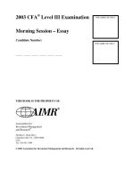 L3 mock  sample exam CFA level III essay questions 2003 