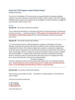 2013 level III mock exam errata 