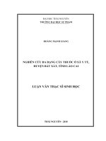 Nghiên cứu đa dạng cây thuốc ở xã Y Tý, huyện Bát Xát, tỉnh Lào Cai (LV thạc sĩ)