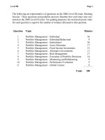 L3 mock  sample exam CFA level III essay questions 2008 