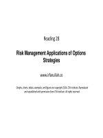 R28 risk management applications of options strategies 