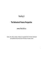R06 the behavioral finance perspective 
