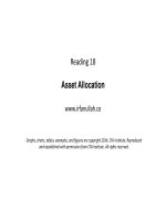 R18 asset allocation 