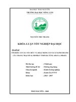 Tìm hiểu cơ cấu tổ chức và hoạt động sản xuất kinh doanh của trang trại số 14, Moshav Tsofar  vùng Arava  Israel (Khóa luận tốt nghiệp)