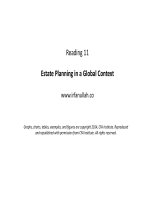 R11 estate planning in a global context 