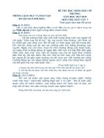 de thi hsg ngu van 7