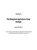 R29 risk management applications of swap strategies 