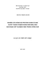 LATS Y học,  Nghiên cứu nồng độ protein S100B và NSE huyết thanh ở bệnh nhân nhồi máu não giai đoạn cấp tại Bệnh viện Trung ương Huế, (FULL TEXT)