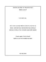 Sức căng tại mặt phân cách của ngưng tụ BOSE   EINSTEIN hai thành phần bị giới hạn bởi hai tường cứng với điều kiện biên robin (2018)