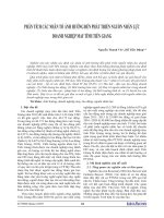 Phân tích các nhân tố ảnh hưởng đến phát triển nguồn nhân lực DN May Tiền Giang