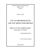 Các cơ chế khuếch tán chủ yếu trong tinh thể rắn (2018)