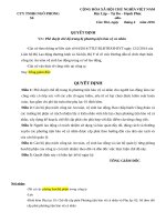 Biểu mẫu HSE  QUYET DINH PHE DUYET CHE DO TRANG BI PTBCVN
