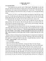 SANG KIEN KINH NGHIEM REN CHU VIET DEPxx