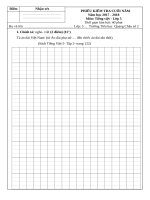 Đề thi kiểm tra viết môn tiếng việt lớp 5  cuối học kì II năm 2017