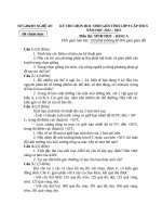 đề thi học sinh giòi sinh lớp 9 (20) 